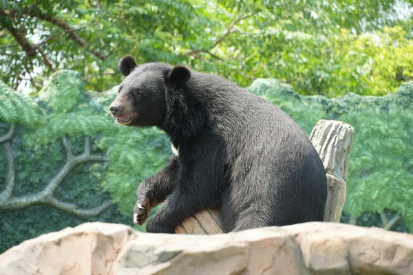 Quel est l'importance des soins capillaires pré-mariage ?
